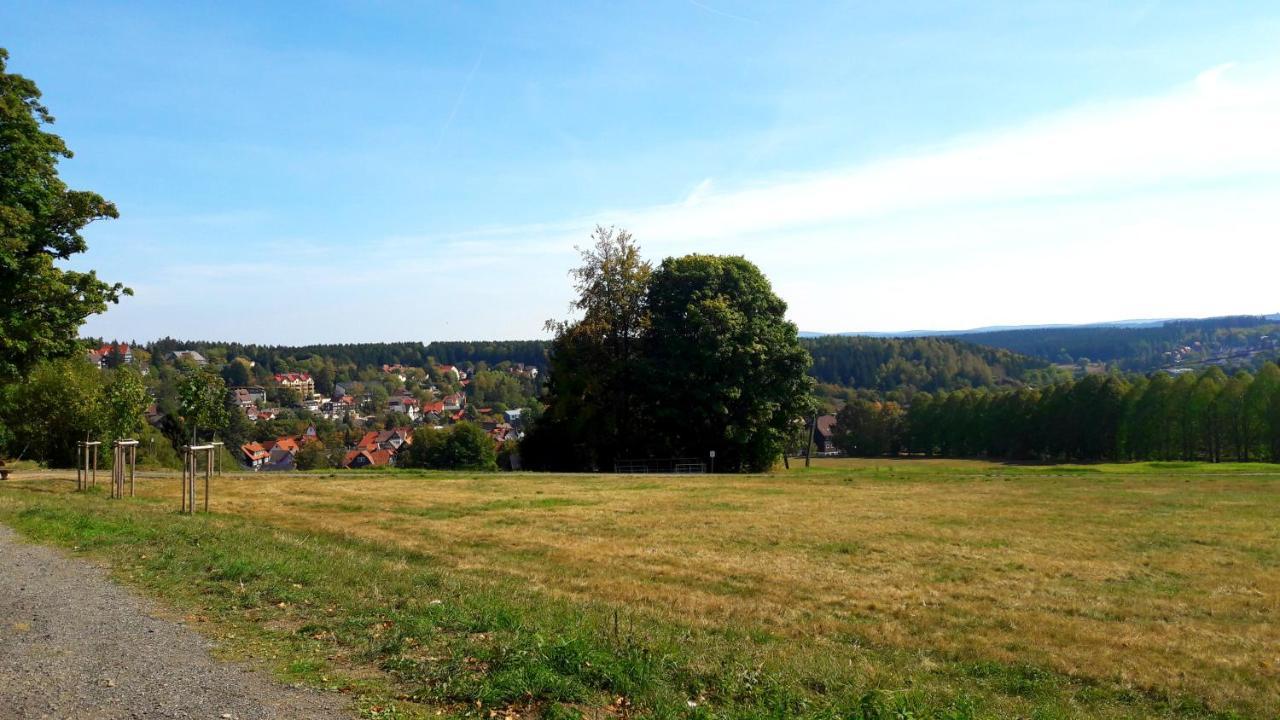 Hotel Garni Am Hochwald Braunlage Kültér fotó